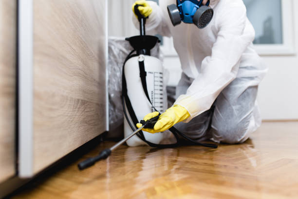 Best Affordable Pest Control Services  in Frankston, TX