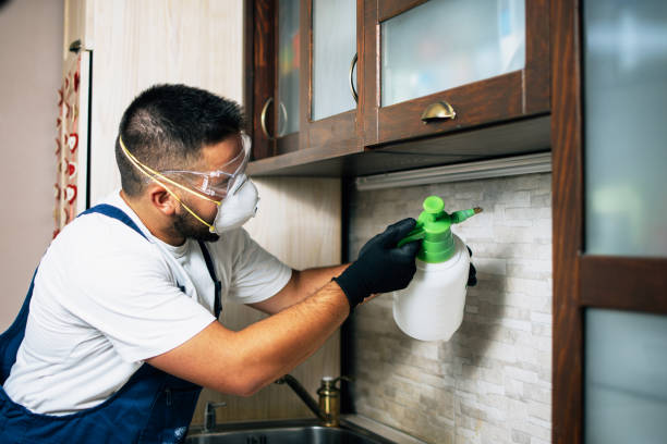 Wildlife Control Services in Frankston, TX