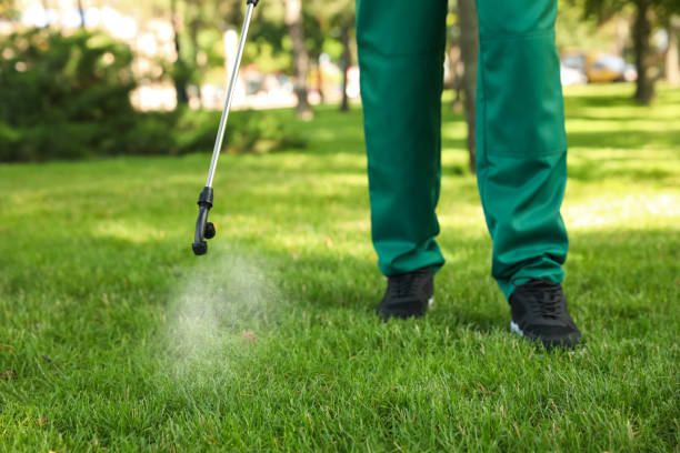 Best Best Pest Control Near Me  in Frankston, TX