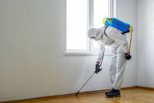Best Pest Removal Services  in Frankston, TX