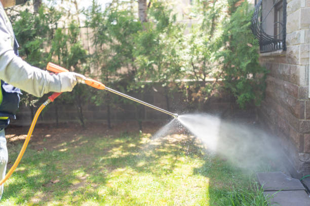 Best Pest Control Near Me in Frankston, TX