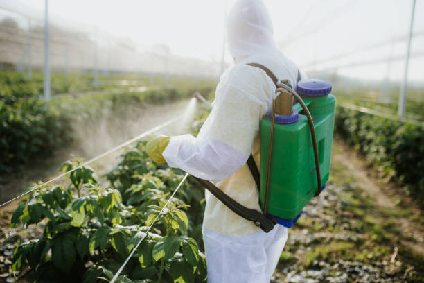 Trusted Frankston, TX Pest Control Experts